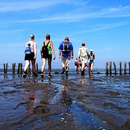 Wadhuis Aan Waddenzee Inclusief 2 E-bikes * Westerland